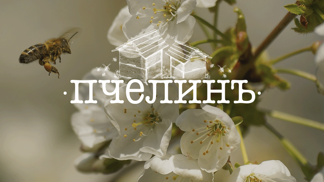 PCHELINA — проект на DigitalPower